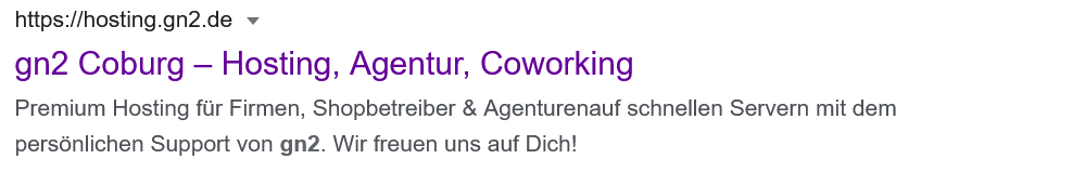 korrekte Snippet Anzeige in den Suchergebnissen